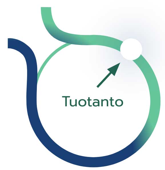 tuotanto-pallo