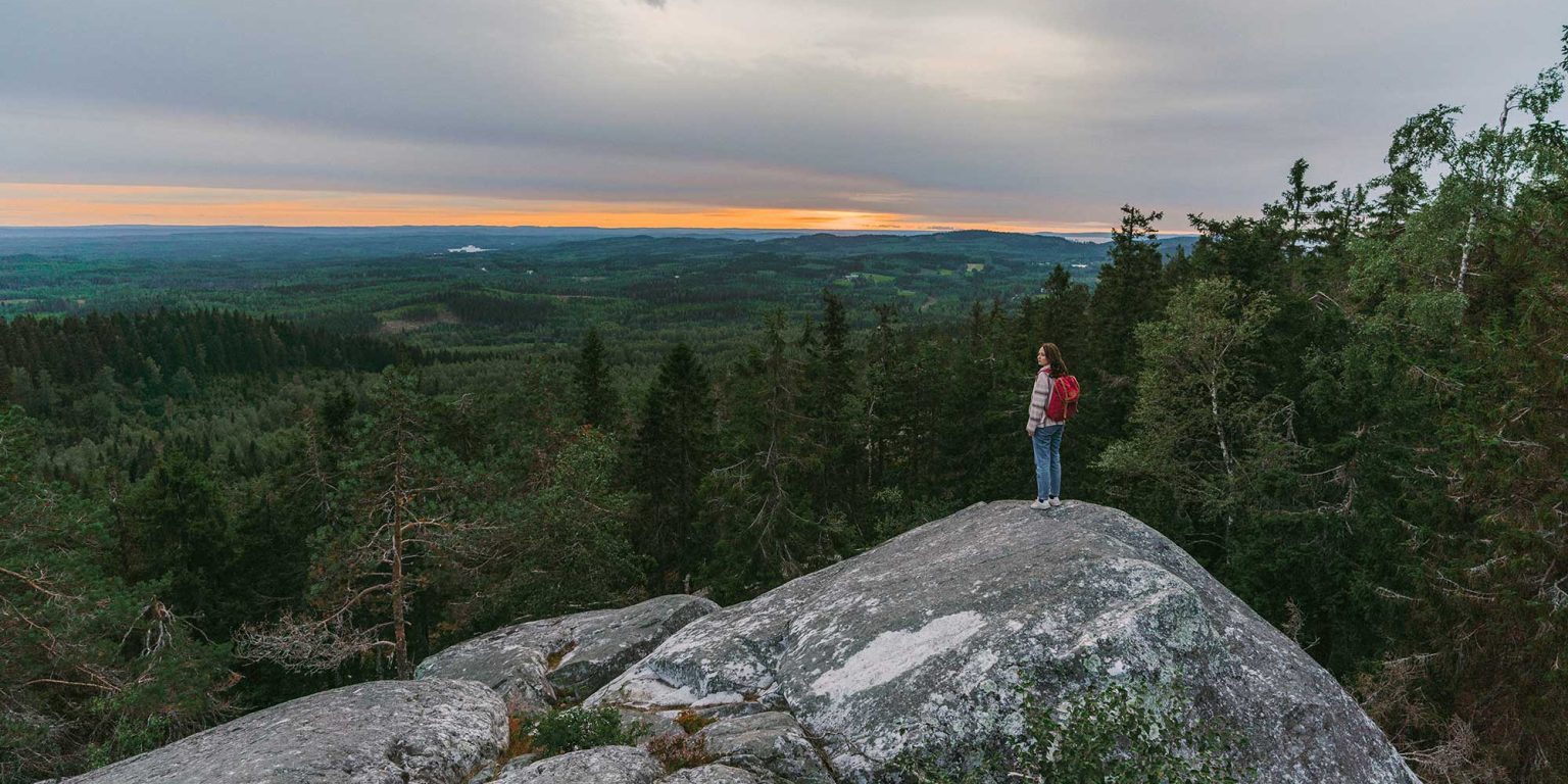 Kuvalähde: iStock